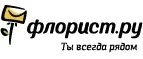 Флорист.ру: Магазины цветов Белгорода: официальные сайты, адреса, акции и скидки, недорогие букеты